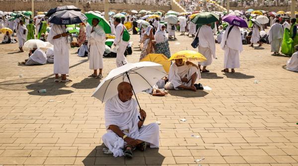 صورة الخبر