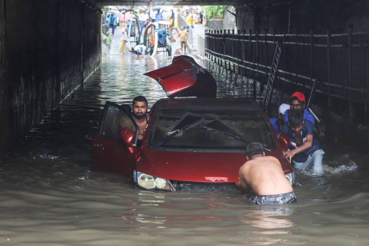 صورة الخبر