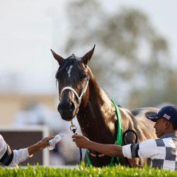 صورة الخبر