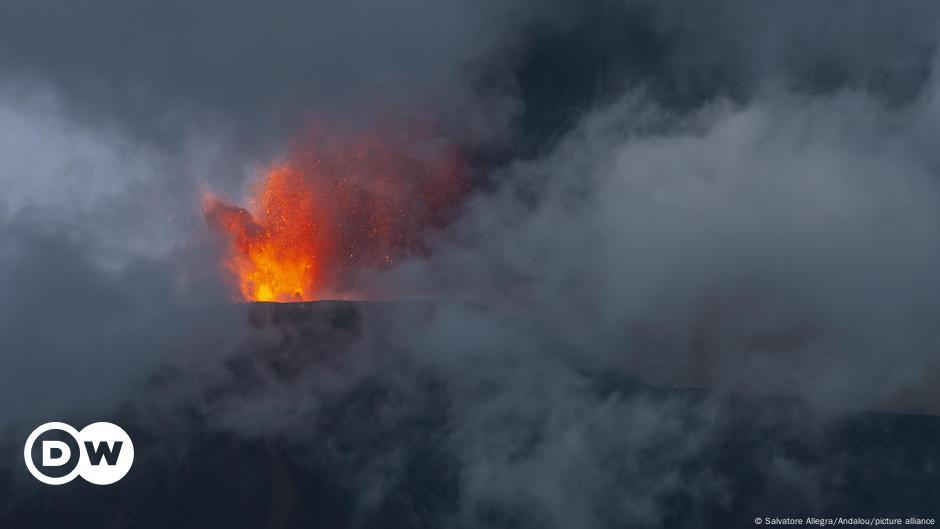 صورة الخبر