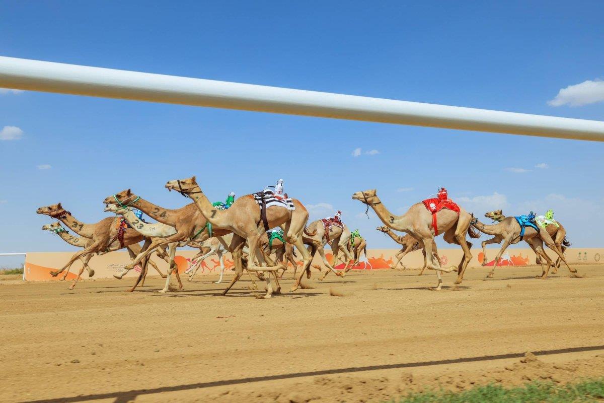 صورة الخبر