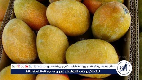 صورة الخبر