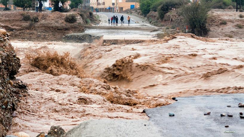 صورة الخبر