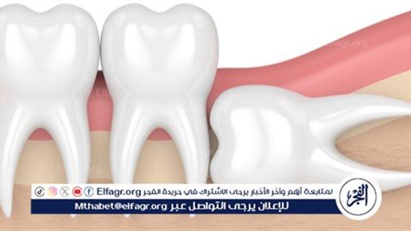 صورة الخبر