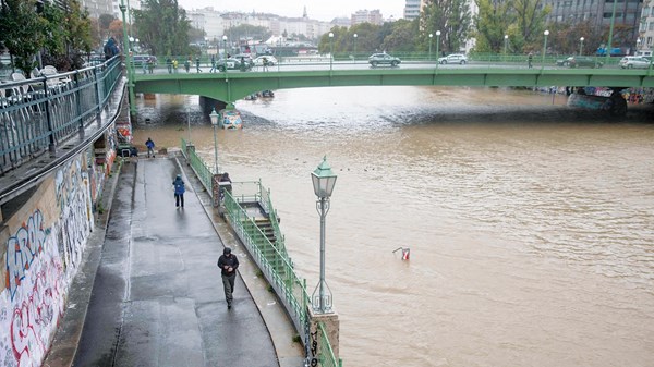 صورة الخبر