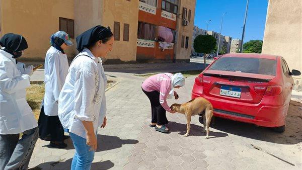 صورة الخبر