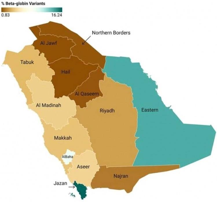 صورة الخبر