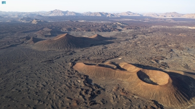 صورة الخبر