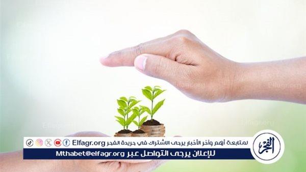 صورة الخبر