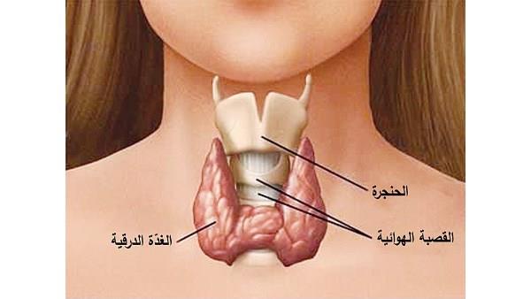 صورة الخبر